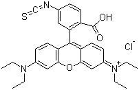 罗丹明 B 异硫氰酸酯分子结构 (CAS 36877-69-7)