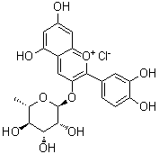矢车菊素 3-鼠李糖苷分子结构 (CAS 38533-30-1)