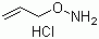 O-烯丙基羟胺盐酸盐分子结构 (CAS 38945-21-0)