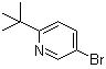 5-溴-2-叔丁基吡啶分子结构 (CAS 39919-58-9)