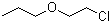 structure of CAS# 42149-74-6, 1-(2-Chloroethoxy)propane;n-Propoxyethylchloride; 2-Chloroethyl-n-propylether