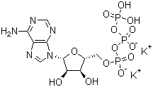 腺苷-5'-三磷酸二钾盐分子结构 (CAS 42373-41-1)