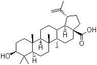 白桦脂酸分子结构 (CAS 472-15-1)
