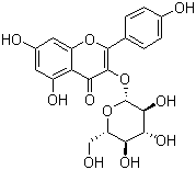Astragalin molecular structure (CAS 480-10-4)