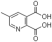 5-甲基吡啶-2,3-二羧酸分子结构 (CAS 53636-65-0)