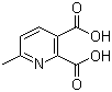 6-甲基吡啶-2,3-二羧酸分子结构 (CAS 53636-70-7)