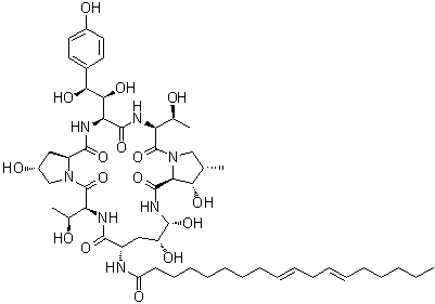 棘白菌素B分子结构 (CAS 54651-05-7)