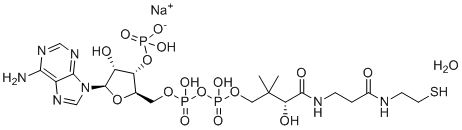 structure of CAS# 55672-92-9, Coenzyme A sodium salt hydrate;Sodium [(2R,3S,4R,5R)-5-(6-aminopurin-9-yl)-4-hydroxy-2-[[hydroxy-[hydroxy-[(3R)-3-hydroxy-2,2-dimethyl-4-oxo-4-[[3-oxo-3-(2-sulfanylethylamino)propyl]amino]butoxy]phosphoryl]oxyphosphoryl]oxymethyl]oxolan-3-yl] hydrogen phosphate hydrate