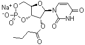 尿苷环-3',5'-(磷酸氢酯) 2'-丁酸酯单钠盐分子结构 (CAS 57329-12-1)