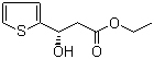 (S)-3-羟基-3-(2-噻吩基)丙酸乙酯分子结构 (CAS 603959-54-2)
