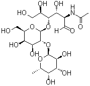 O-6-脱氧-alpha-L-吡喃半乳糖基-(1→2)-O-beta-D-吡喃半乳糖基-(1→4)-2-(乙酰氨基)-2-脱氧-D-葡萄糖分子结构 (CAS 60797-31-1)