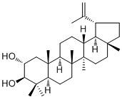 2alpha-羟基羽扇豆醇分子结构 (CAS 61448-03-1)