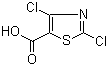 2,4-二氯-5-噻唑羧酸分子结构 (CAS 62019-56-1)