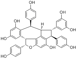 Viniferol D molecular structure (CAS 625096-18-6)