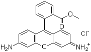 罗丹明 123分子结构 (CAS 62669-70-9)