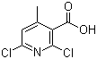 2,6-二氯-4-甲基-3-吡啶甲酸分子结构 (CAS 62774-90-7)
