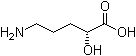 (R)-5-氨基-2-羟基戊酸分子结构 (CAS 63316-29-0)