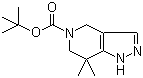 7,7-二甲基-1,4,6,7-四氢吡唑并[4,3-c]吡啶-5-羧酸叔丁酯分子结构 (CAS 635712-88-8)