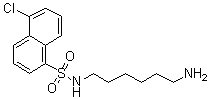 N-(6-氨基己基)-5-氯-1-萘磺酰胺分子结构 (CAS 65595-90-6)