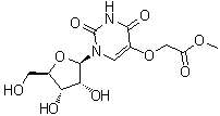 尿苷-5-氧基乙酸甲酯分子结构 (CAS 66536-81-0)