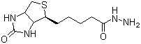 生物素酰肼分子结构 (CAS 66640-86-6)