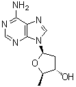 2',5'-二脱氧腺苷分子结构 (CAS 6698-26-6)