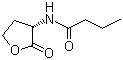 N-[(3S)-四氢-2-氧代-3-呋喃基]丁酰胺分子结构 (CAS 67605-85-0)