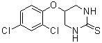 5-(2,4-二氯苯氧基)四氢-2(1H)-嘧啶硫酮分子结构 (CAS 676167-21-8)