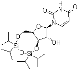 3',5'-O-(1,1,3,3-四异丙基-1,3-二硅氧烷)尿苷分子结构 (CAS 69304-38-7)