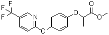 吡氟禾草灵甲酯分子结构 (CAS 69335-90-6)