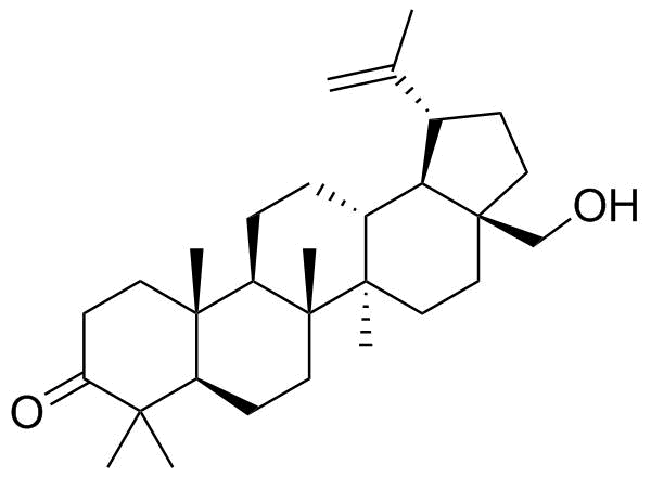 桦木酮分子结构 (CAS 7020-34-0)