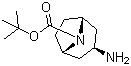 N-Boc-exo-3-氨基托烷分子结构 (CAS 744183-20-8)