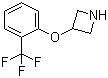 3-[2-(三氟甲基)苯氧基]氮杂环丁烷分子结构 (CAS 76263-24-6)
