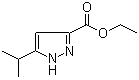5-异丙基-1H-吡唑-3-羧酸乙酯分子结构 (CAS 78208-72-7)