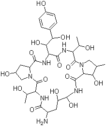 1-[(4R,5R)-4,5-二羟基-L-鸟氨酸]棘白菌素 B分子结构 (CAS 79411-15-7)