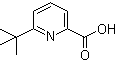 6-叔丁基吡啶-2-羧酸分子结构 (CAS 848027-99-6)