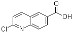 2-氯-6-喹啉羧酸分子结构 (CAS 849996-80-1)