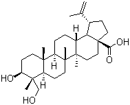 23-羟基白桦酸分子结构 (CAS 85999-40-2)