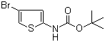 (4-溴噻吩-2-基)氨基甲酸叔丁酯分子结构 (CAS 868387-45-5)