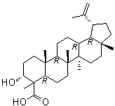 Lupeolic acid分子结构 (CAS 87355-32-6)