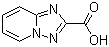 [1,2,4]三唑并[1,5-a]吡啶-2-羧酸分子结构 (CAS 876379-83-8)