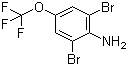 3,5-二溴-4-氨基三氟甲氧基苯分子结构 (CAS 88149-49-9)