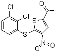 1-[5-[(2,3-二氯苯基)硫基]-4-硝基-2-噻吩基]-乙酮分子结构 (CAS 882257-11-6)