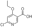 6-氯-4-乙氧基-3-吡啶甲酸分子结构 (CAS 887572-34-1)