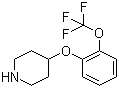 4-[2-(三氟甲氧基)苯氧基]哌啶分子结构 (CAS 902836-49-1)