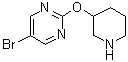 5-溴-2-(3-哌啶基氧基)嘧啶分子结构 (CAS 914347-73-2)