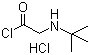 2-[(叔丁基)氨基]乙酰氯盐酸盐分子结构 (CAS 915725-52-9)