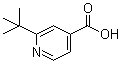 2-叔丁基吡啶-4-羧酸分子结构 (CAS 91940-84-0)