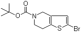 2-溴-6,7-二氢噻吩并[3,2-c]吡啶-5(4H)-甲酸叔丁酯分子结构 (CAS 949922-62-7)
