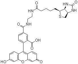 5-[[[2-[[5-[(3aS,4S,6aR)-六氢-2-氧代-1H-噻吩并[3,4-d]咪唑-4-基]-1-氧代戊基]氨基]乙基]氨基]羰基]-2-(6-羟基-3-氧代-3H-氧杂蒽-9-基)苯甲酸分子结构 (CAS 957494-27-8)